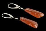 Rich, Orange-Red Agatized Dinosaur Bone (Gembone) Earrings #146267-1